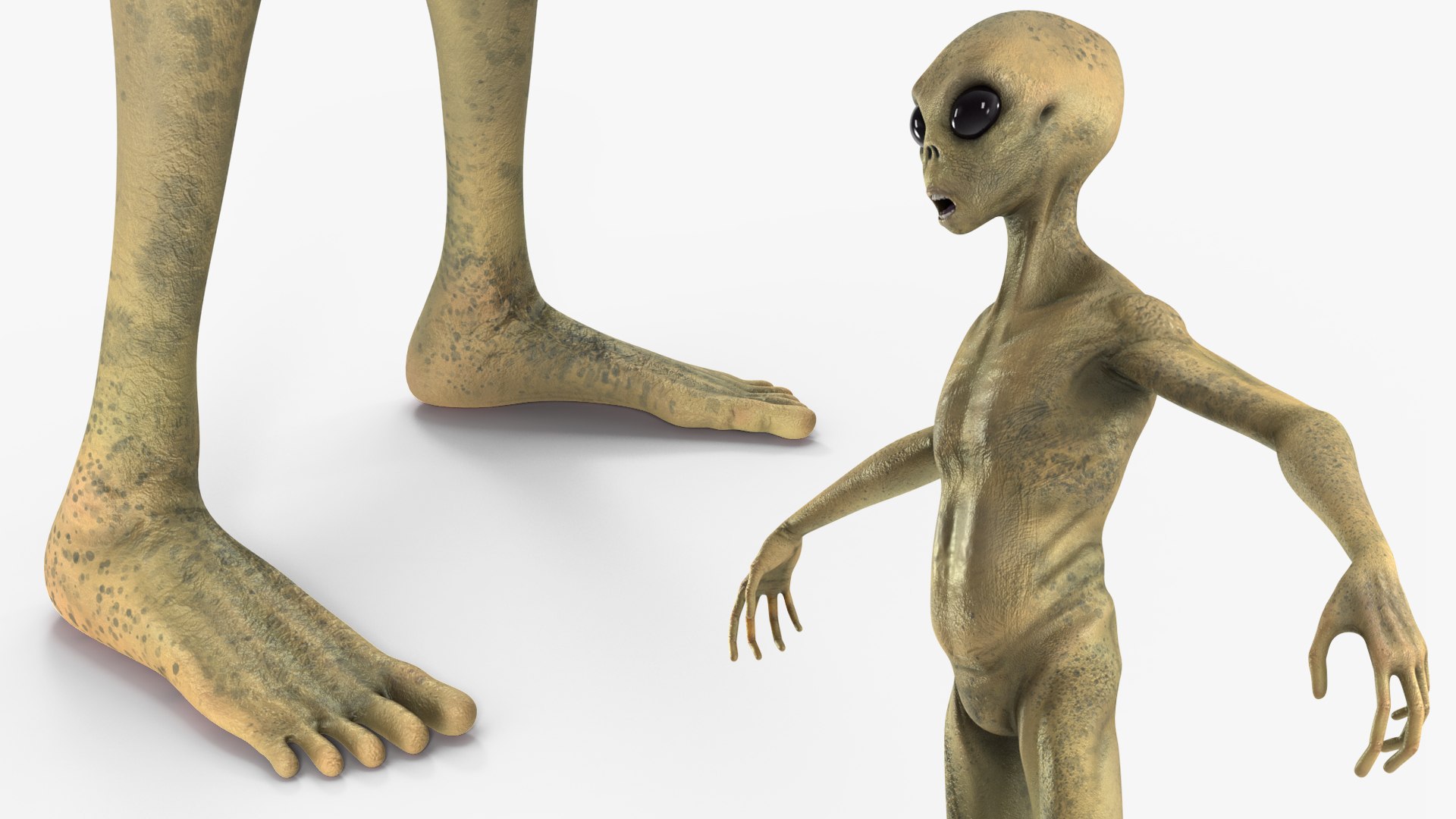 3D Humanoid Alien Creature Rigged for Cinema https://p.turbosquid.com/ts-thumb/OY/cp2Bgq/0s/humanoidaliencreatureriggedvray3dmodel023/jpg/1674487780/1920x1080/fit_q87/8f69da04699adfa2539e1c867c02fe5ffca7f98f/humanoidaliencreatureriggedvray3dmodel023.jpg
