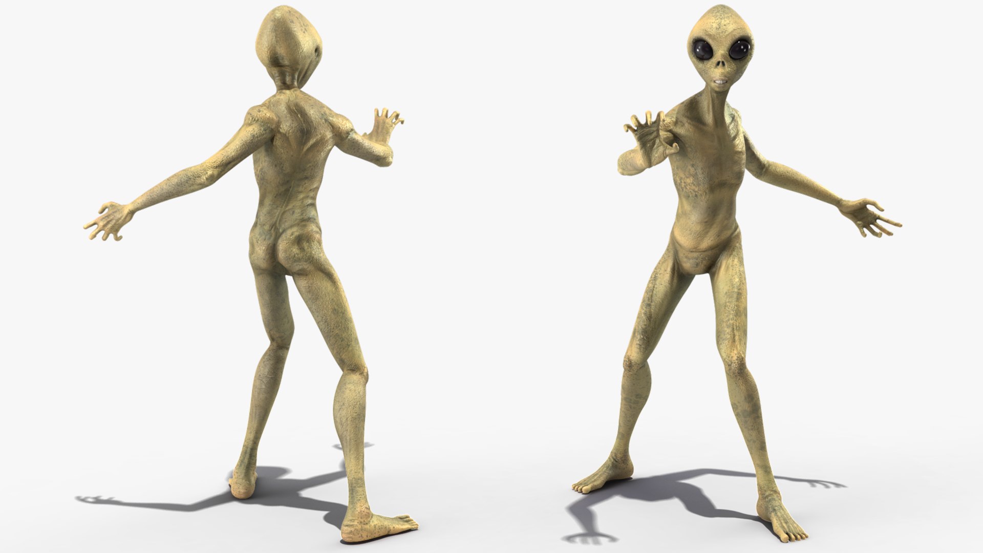 3D Humanoid Alien Creature Rigged for Cinema https://p.turbosquid.com/ts-thumb/OY/cp2Bgq/QX/humanoidaliencreatureriggedvray3dmodel014/jpg/1674487751/1920x1080/fit_q87/8957e79a5ac506643bb1154304fc7441b049ea75/humanoidaliencreatureriggedvray3dmodel014.jpg