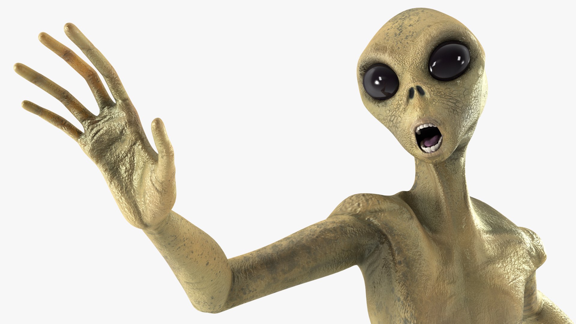 3D Humanoid Alien Creature Rigged for Cinema https://p.turbosquid.com/ts-thumb/OY/cp2Bgq/vg/humanoidaliencreatureriggedvray3dmodel021/jpg/1674487773/1920x1080/fit_q87/6a0631fc63814509843c2224c7bba599c860f690/humanoidaliencreatureriggedvray3dmodel021.jpg