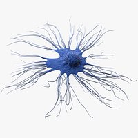 Cancer Cell Breast
