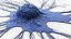 Cancer Cell Breast