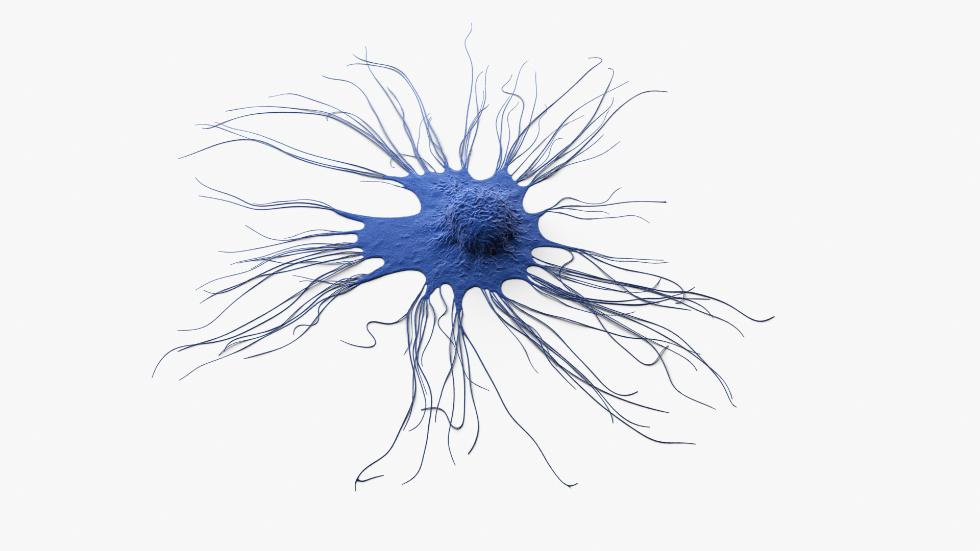 Cancer Cell Breast model https://p.turbosquid.com/ts-thumb/OY/vd5S7C/zD/turntable/jpg/1656774454/1920x1080/turn_fit_q99/b33b95aa4389eadb2ddc7f38548a7c1aa877f0ed/turntable-1.jpg