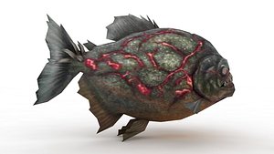 3D model Piranha
