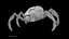 Sci-Fi Spider Rigged