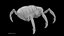 Sci-Fi Spider Rigged