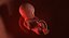 Fetus Collection - 10 models in development
