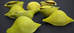 MACARONI SHELL PASTA 2024 3D model