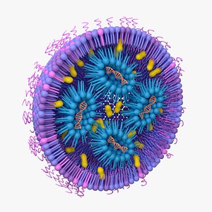 Lipid nanoparticles