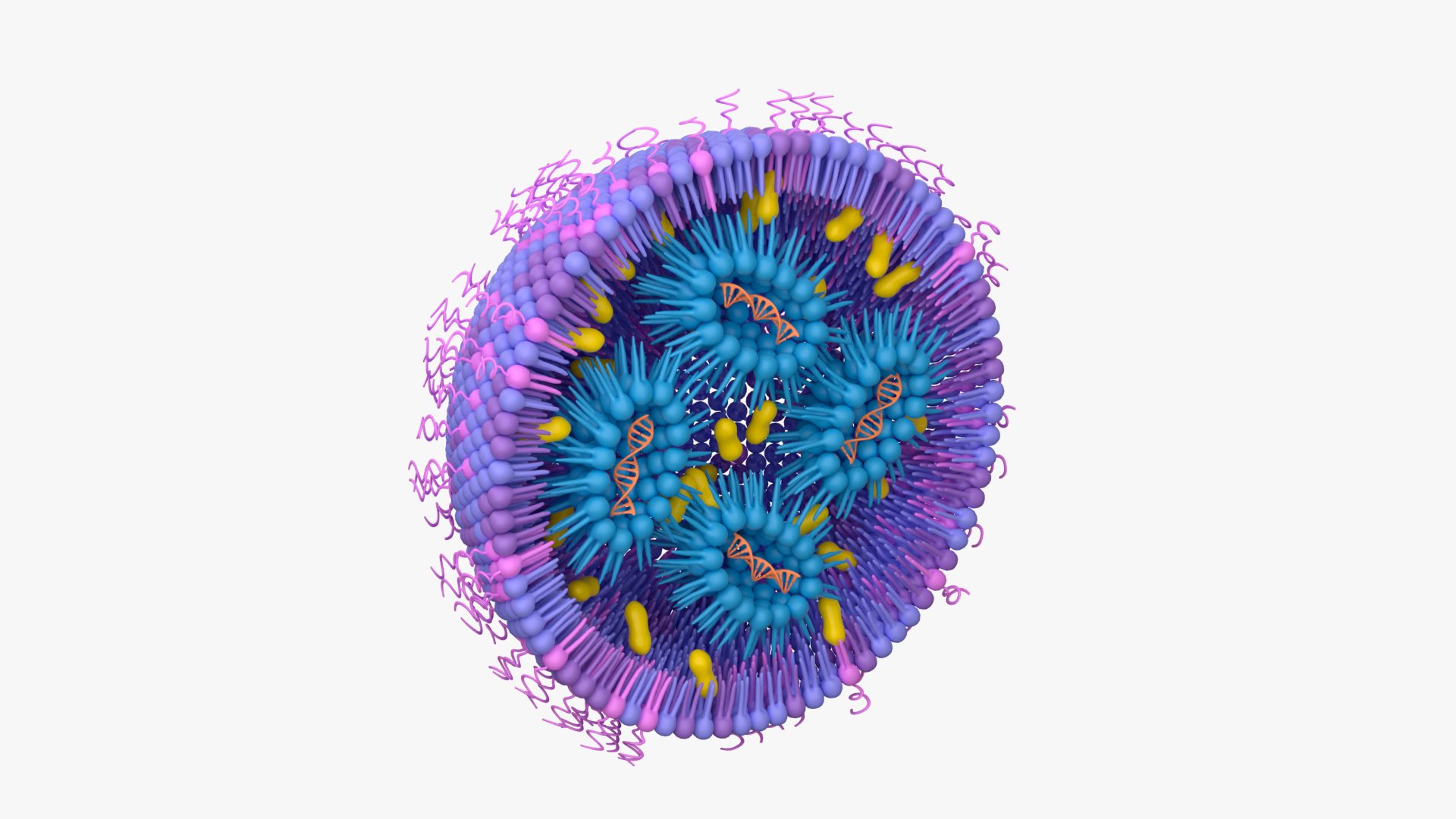 Lipid-Nanopartikel bringen mRNA in die Plazenta, aber so hoffentlich nicht weiter