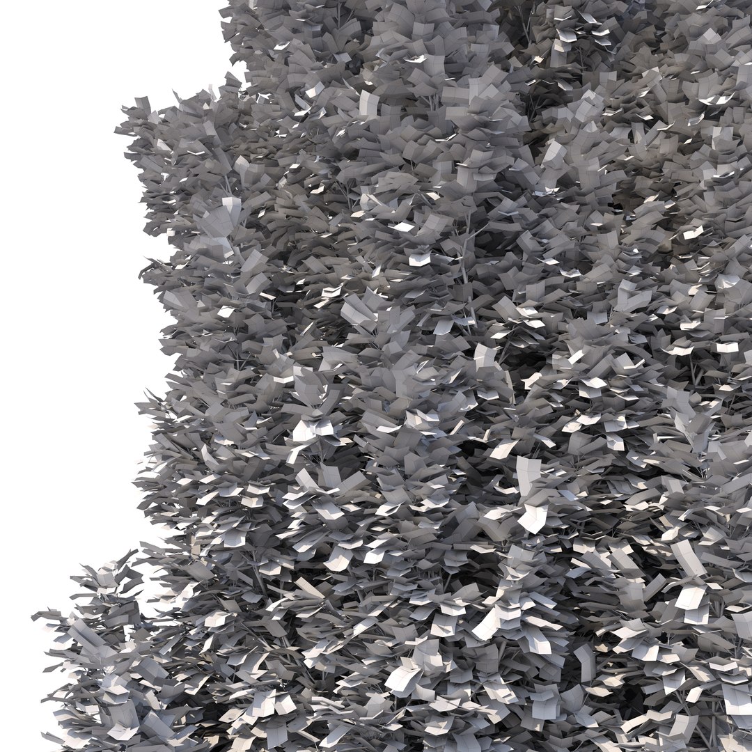 3D Carpinus Betulus Tree No 1 model https://p.turbosquid.com/ts-thumb/OZ/jT7yUY/4e/rend5.5/jpg/1666232688/1920x1080/fit_q87/2bc79647a789469c91bcf6aee99623e144b15e52/rend5.5.jpg