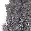 Drzewo Carpinus Betulus nr 1