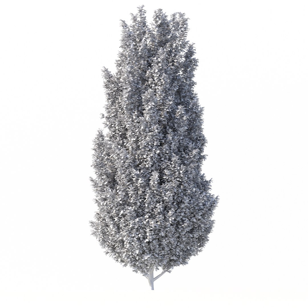 3D Carpinus Betulus Tree No 1 model https://p.turbosquid.com/ts-thumb/OZ/jT7yUY/GS/rend3.4/jpg/1666232686/1920x1080/fit_q87/cdf7b5f5aeddec445997fb2c2aae87d3ecce0c72/rend3.4.jpg