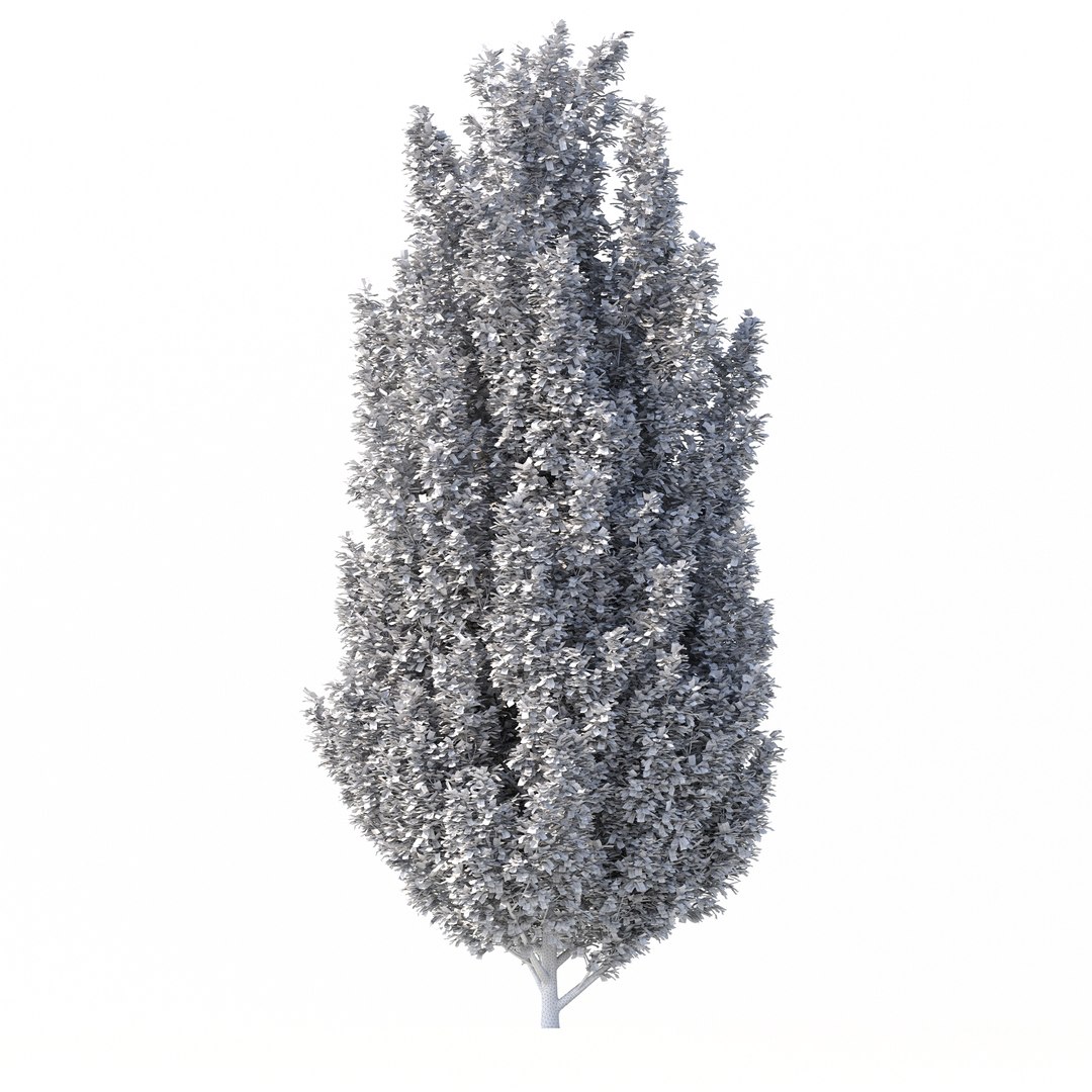 3D Carpinus Betulus Tree No 1 model https://p.turbosquid.com/ts-thumb/OZ/jT7yUY/H4/rend3.1/jpg/1666232684/1920x1080/fit_q87/0b9483c79ecf21cb42f6a448655da65e1c4be4be/rend3.1.jpg