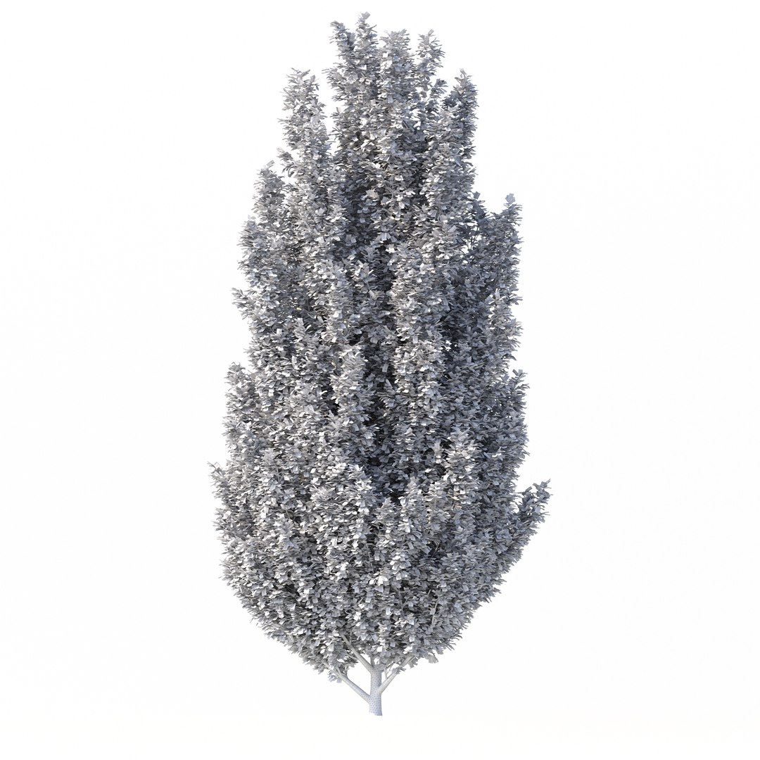 3D Carpinus Betulus Tree No 1 model https://p.turbosquid.com/ts-thumb/OZ/jT7yUY/SV/rend3.3/jpg/1666232685/1920x1080/fit_q87/cbd324c41dacab13ac82262ca8125714e0fac896/rend3.3.jpg