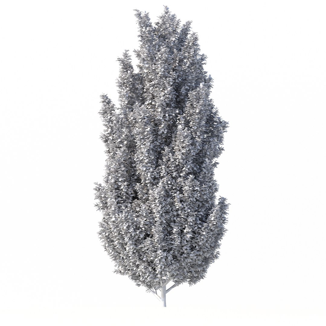 3D Carpinus Betulus Tree No 1 model https://p.turbosquid.com/ts-thumb/OZ/jT7yUY/an/rend3.2/jpg/1666232685/1920x1080/fit_q87/8a1abaa617be29059910724f3992e6a2e0dde724/rend3.2.jpg