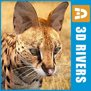 serval cats 3ds