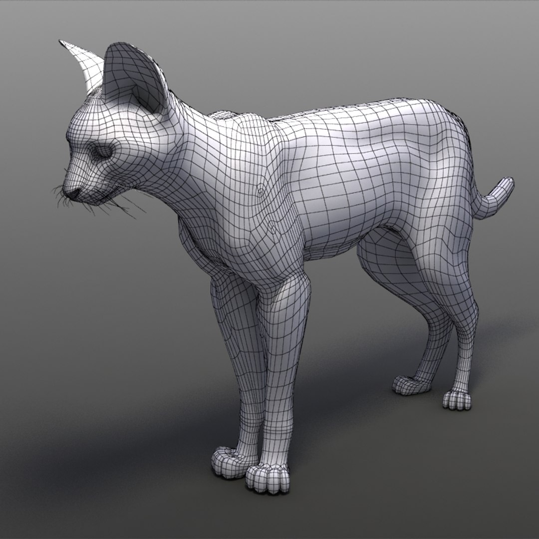 serval cats 3ds https://p.turbosquid.com/ts-thumb/OZ/mi3GSP/OB33Jglz/servalw01/jpg/1240569708/1920x1080/fit_q87/3510360576f0b6fd40e9776f7119368828675bac/servalw01.jpg