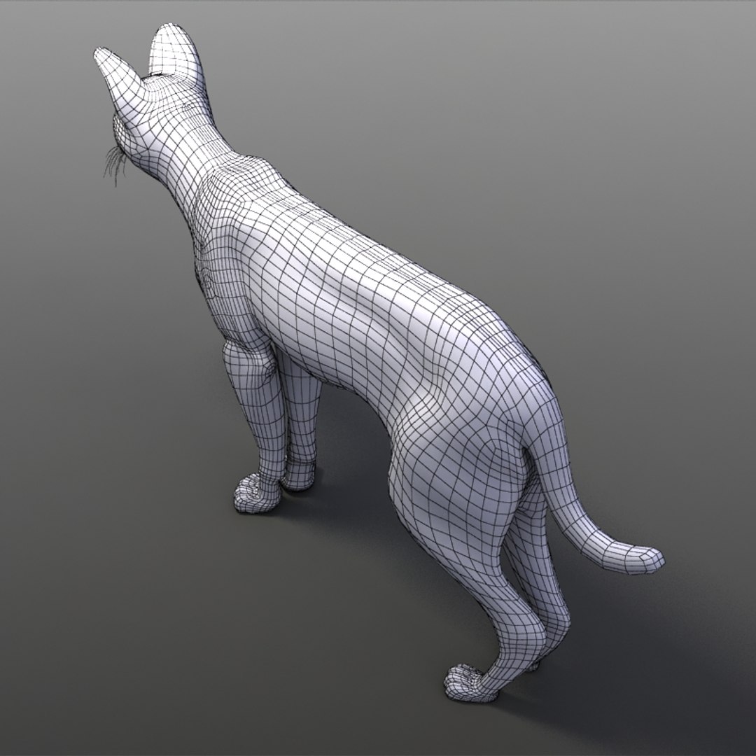 serval cats 3ds https://p.turbosquid.com/ts-thumb/OZ/mi3GSP/XAVt1erL/servalw03/jpg/1240569797/1920x1080/fit_q87/1b115acd683b1b7c23046d4dbe7da811f52bd75c/servalw03.jpg