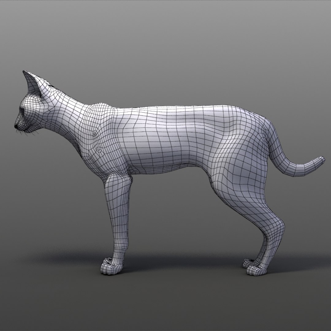 serval cats 3ds https://p.turbosquid.com/ts-thumb/OZ/mi3GSP/hwEsP8uR/servalw02/jpg/1240569730/1920x1080/fit_q87/26ae1abd3d93661b904a4fd1b661c1d21e7fb186/servalw02.jpg
