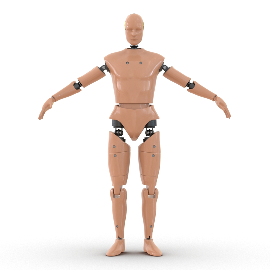 3d crash test dummies