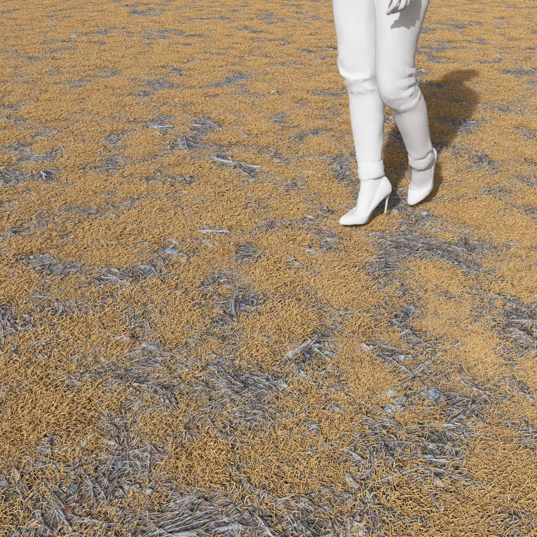 Real Grass 3D https://p.turbosquid.com/ts-thumb/OZ/wuh43I/2Q/vppoapratensisv23field/jpg/1695472786/1920x1080/fit_q87/ec32ef9f1eafd9ea0092041966839083965ba8ac/vppoapratensisv23field.jpg