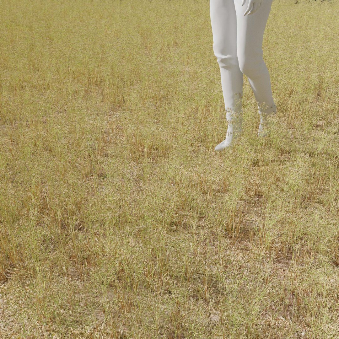 Real Grass 3D https://p.turbosquid.com/ts-thumb/OZ/wuh43I/51/vpairacaryophv2field/jpg/1695472677/1920x1080/fit_q87/604c410e25c622f1bbe38520f7de16d1226dd6cc/vpairacaryophv2field.jpg