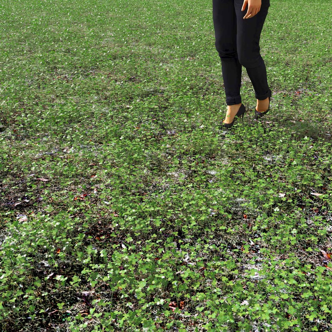 Real Grass 3D https://p.turbosquid.com/ts-thumb/OZ/wuh43I/6b/vptrifoliumv4field/jpg/1695472791/1920x1080/fit_q87/0fd122d7c765baf2c4e44e0cc2f4d9fb858d7bef/vptrifoliumv4field.jpg