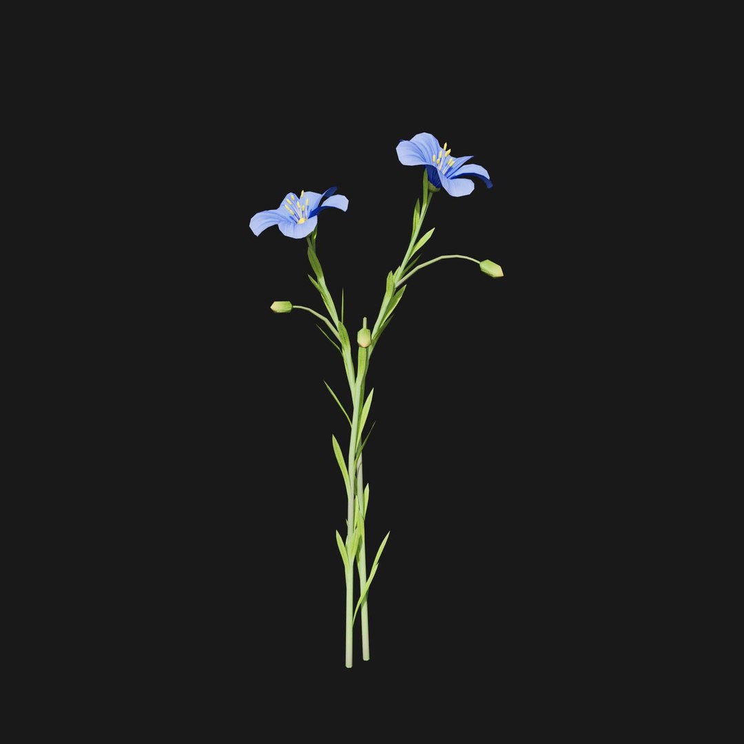 Real Grass 3D https://p.turbosquid.com/ts-thumb/OZ/wuh43I/6w/vplinumlewisiiv4/jpg/1695472754/1920x1080/fit_q87/f02341b73b32cc083eaf4020e132d64f9b9ed4a4/vplinumlewisiiv4.jpg