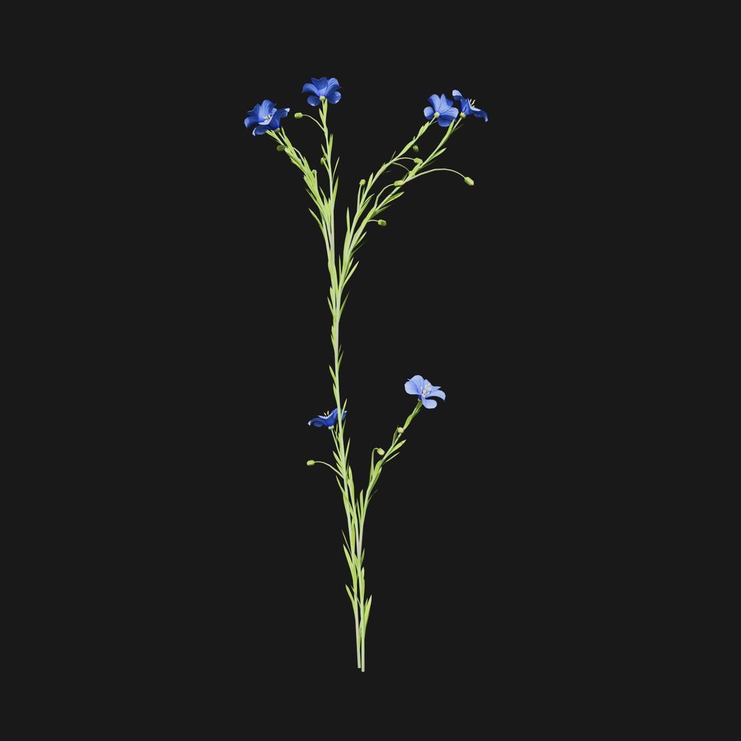 Real Grass 3D https://p.turbosquid.com/ts-thumb/OZ/wuh43I/71/vplinumlewisiiv5/jpg/1695472755/1920x1080/fit_q87/379d1a1c3e6062cf2003aab9592ce1f149ce27da/vplinumlewisiiv5.jpg