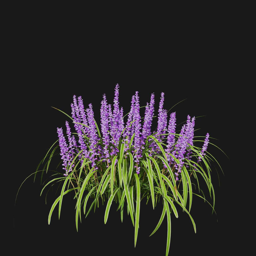 Real Grass 3D https://p.turbosquid.com/ts-thumb/OZ/wuh43I/7F/vpliriopemuscariv4/jpg/1695472761/1920x1080/fit_q87/b93ebe98631055c18f9932d7ff19aa533c9c3d86/vpliriopemuscariv4.jpg