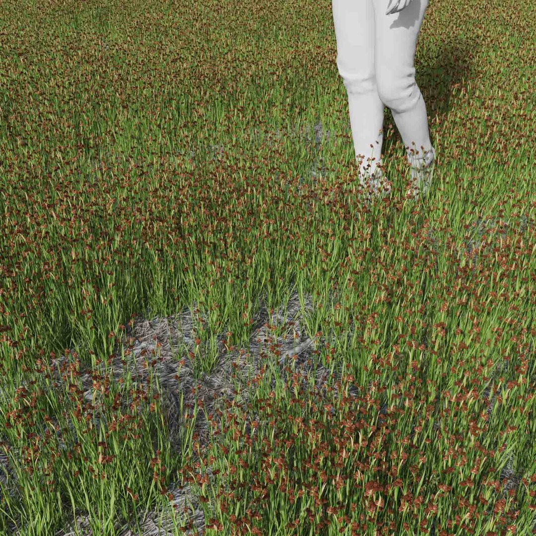 Real Grass 3D https://p.turbosquid.com/ts-thumb/OZ/wuh43I/7b/vpjuncusensifoliusv1field/jpg/1695472738/1920x1080/fit_q87/5107895c005d15e7579016318ef5e204cfc7c648/vpjuncusensifoliusv1field.jpg