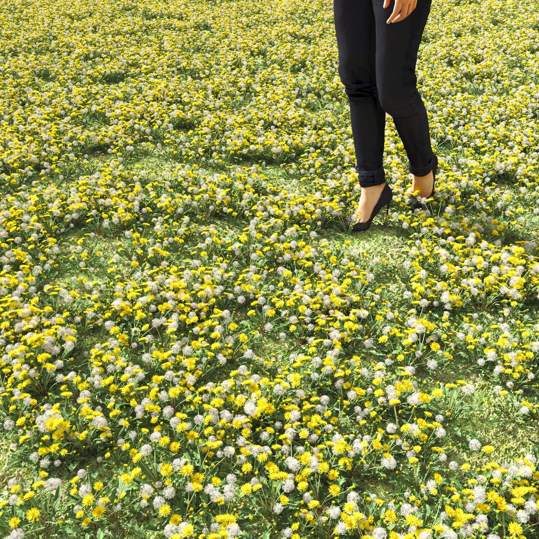 Real Grass 3D https://p.turbosquid.com/ts-thumb/OZ/wuh43I/84/vpdandelionv1field/jpg/1695472715/1920x1080/fit_q87/0a8aa15026a45b7f9dca3a067a9a2b1eaa441ecd/vpdandelionv1field.jpg