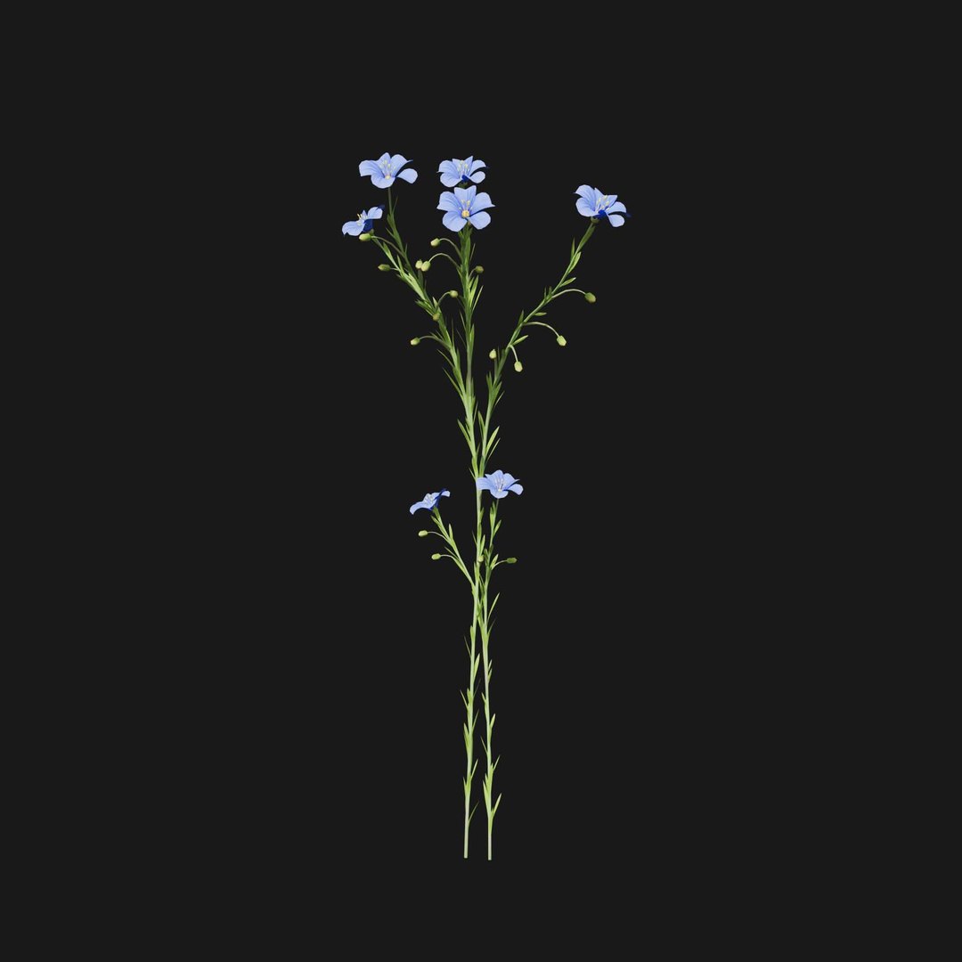 Real Grass 3D https://p.turbosquid.com/ts-thumb/OZ/wuh43I/8G/vplinumlewisiiv2/jpg/1695472752/1920x1080/fit_q87/6fe9006bec9793ba878653c39544203b5f58e438/vplinumlewisiiv2.jpg