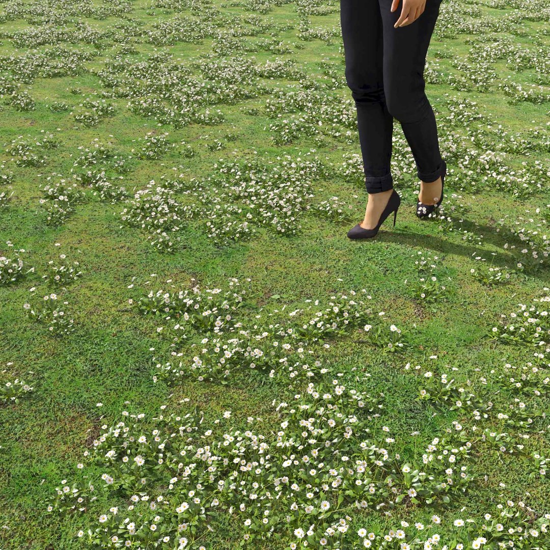 Real Grass 3D https://p.turbosquid.com/ts-thumb/OZ/wuh43I/9j/vpbellisperennisv5field/jpg/1695472695/1920x1080/fit_q87/2fae2489a717c321599ba10b4d60a6f18793c543/vpbellisperennisv5field.jpg