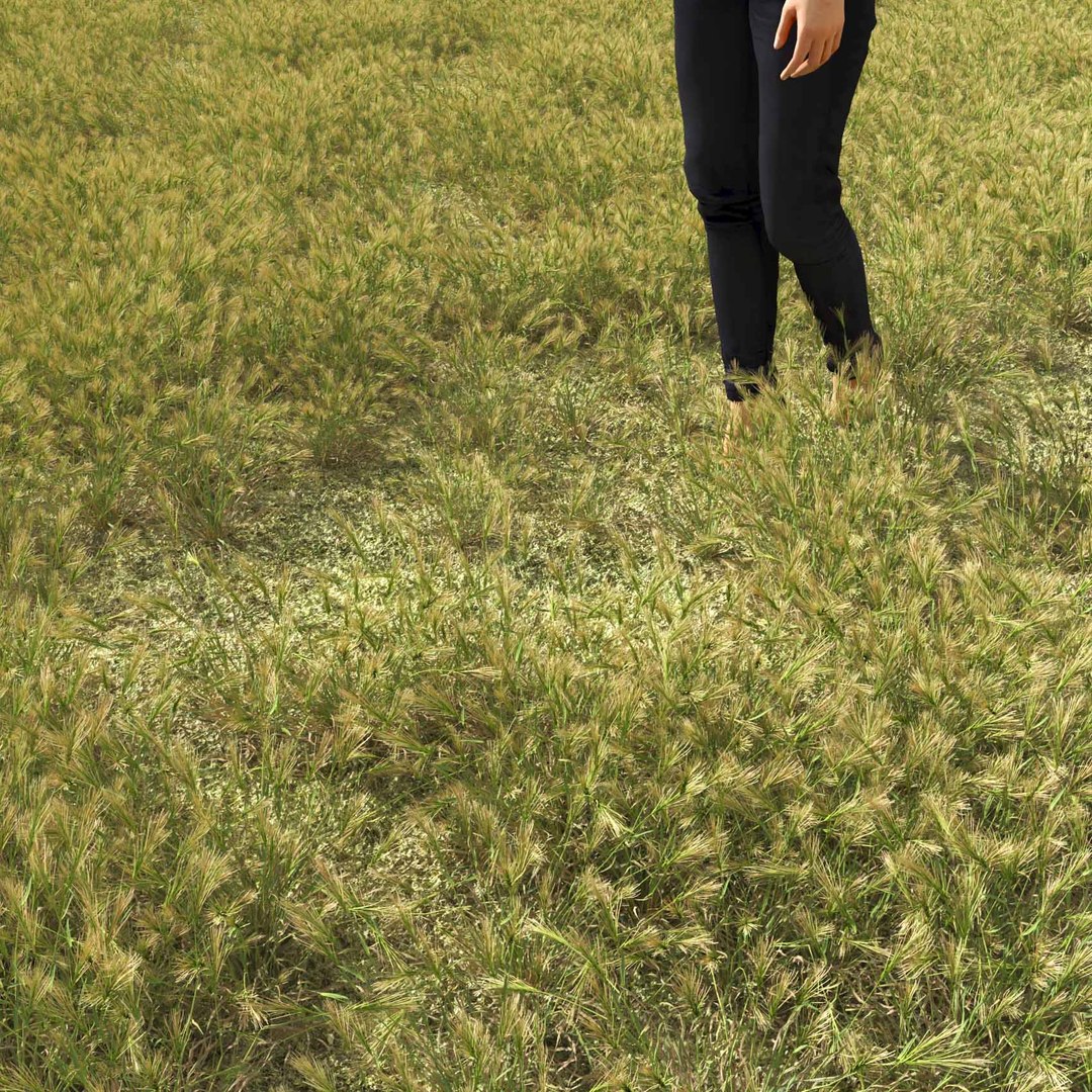 Real Grass 3D https://p.turbosquid.com/ts-thumb/OZ/wuh43I/A1/vphordeumv3field/jpg/1695472734/1920x1080/fit_q87/6e5dab7e92b08b10d762248f110fcd7f13156ff4/vphordeumv3field.jpg