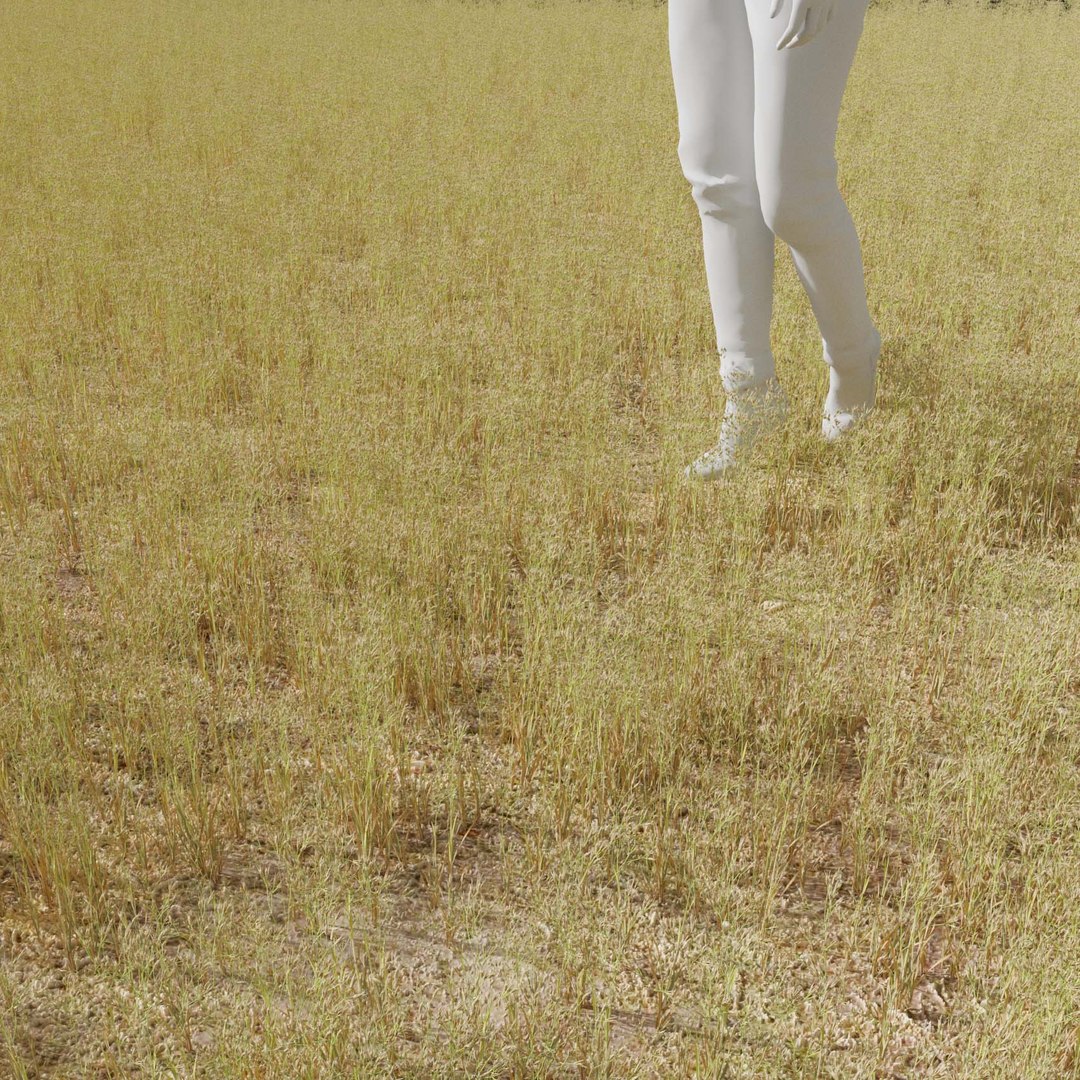 Real Grass 3D https://p.turbosquid.com/ts-thumb/OZ/wuh43I/Ap/vpairacaryophv1field/jpg/1695472676/1920x1080/fit_q87/4b296af8a86b4743e08a26cc1bff84c822ccd6e6/vpairacaryophv1field.jpg