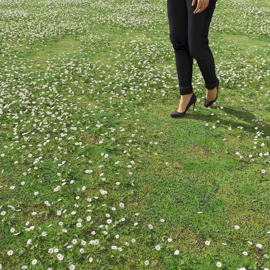 Real Grass 3D https://p.turbosquid.com/ts-thumb/OZ/wuh43I/Bh/vpbellisperennisv4field/jpg/1695472694/1920x1080/fit_q87/d0a665d74bfbb1b9dd50b6d83dfcb8a7304d32ab/vpbellisperennisv4field.jpg