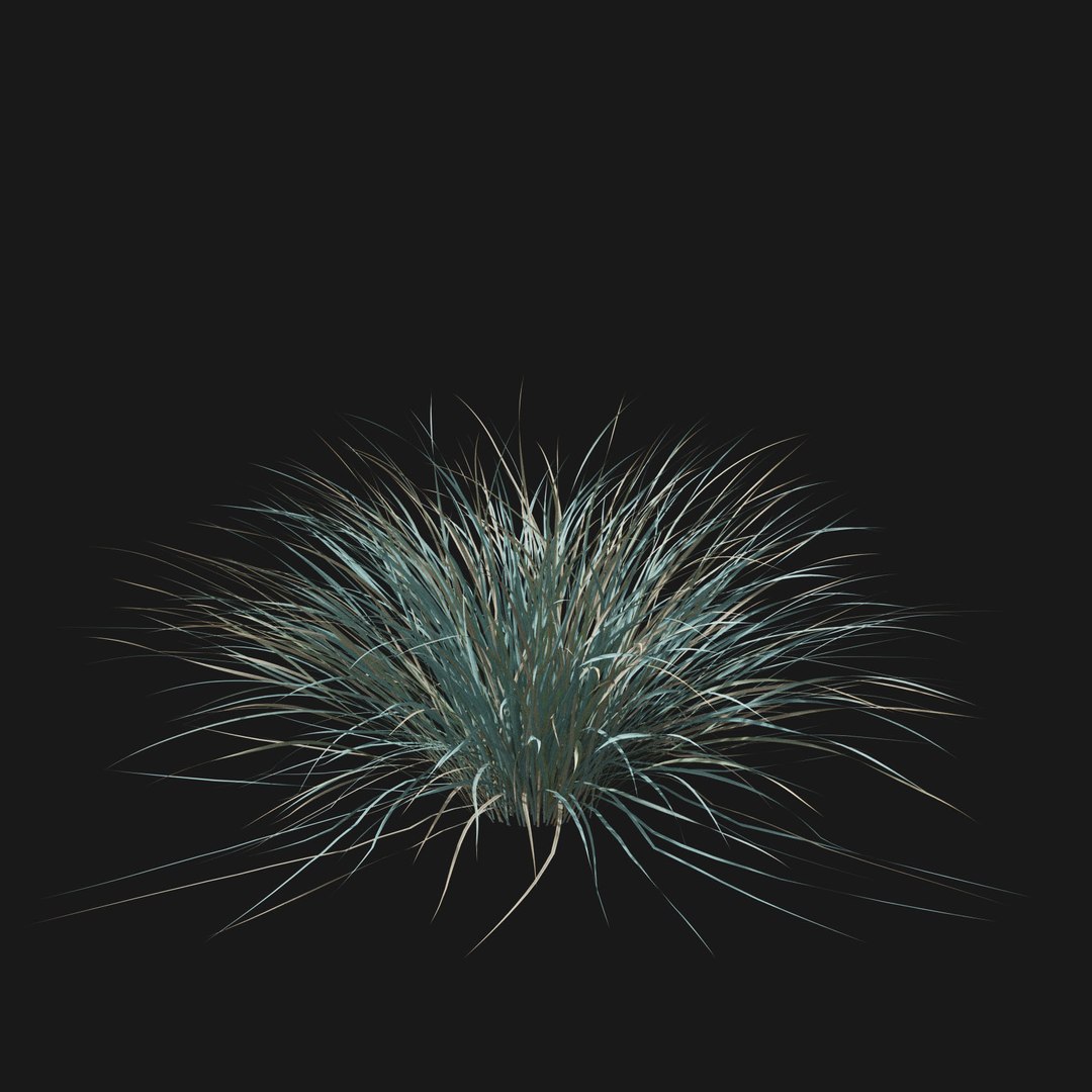 Real Grass 3D https://p.turbosquid.com/ts-thumb/OZ/wuh43I/C8/vphelictotrichonv2/jpg/1695472729/1920x1080/fit_q87/466e3ebe369229fd91fb54c99c1405253450a62f/vphelictotrichonv2.jpg