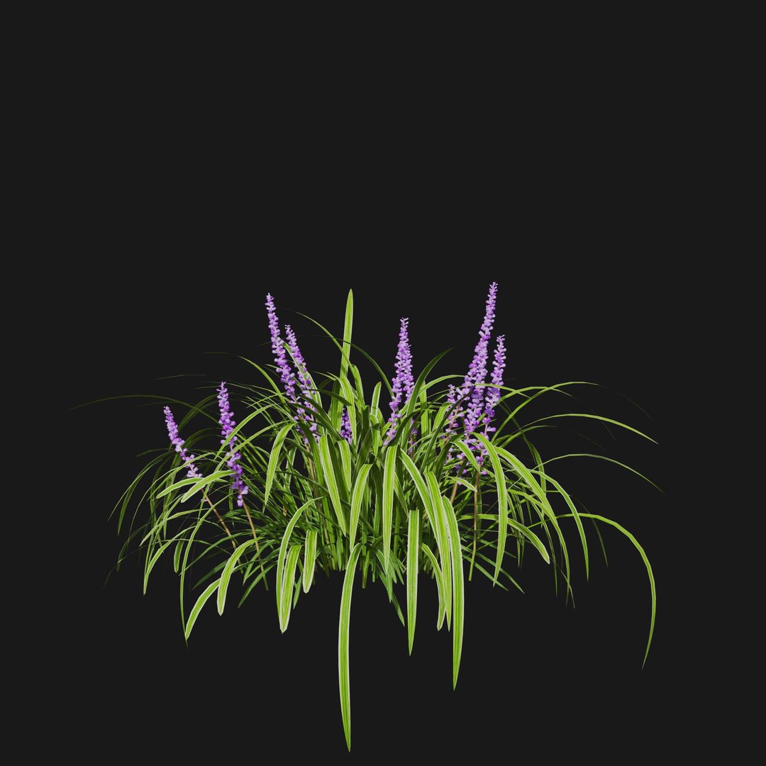 Real Grass 3D https://p.turbosquid.com/ts-thumb/OZ/wuh43I/DL/vpliriopemuscariv1/jpg/1695472758/1920x1080/fit_q87/3b421ca732adc19a7efa540445aa4323d1d38ed1/vpliriopemuscariv1.jpg