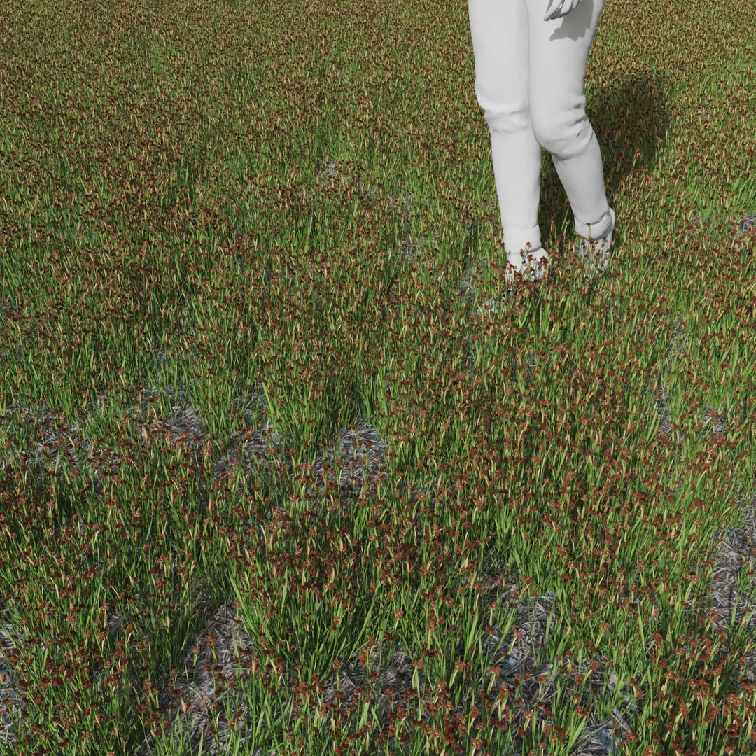 Real Grass 3D https://p.turbosquid.com/ts-thumb/OZ/wuh43I/E2/vpjuncusensifoliusv4field/jpg/1695472742/1920x1080/fit_q87/ec5b9e40461156b709c046c093477f48c6be31d1/vpjuncusensifoliusv4field.jpg