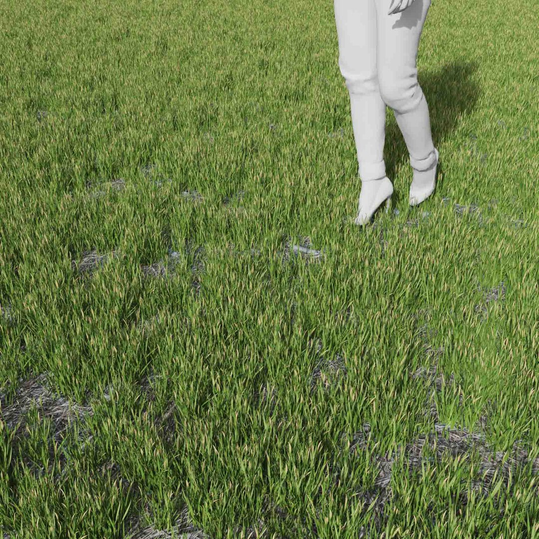 Real Grass 3D https://p.turbosquid.com/ts-thumb/OZ/wuh43I/EU/vpjuncusensifoliusv3field/jpg/1695472740/1920x1080/fit_q87/49cbf479c14866016473ddd055abfc3ff8e3bc6e/vpjuncusensifoliusv3field.jpg