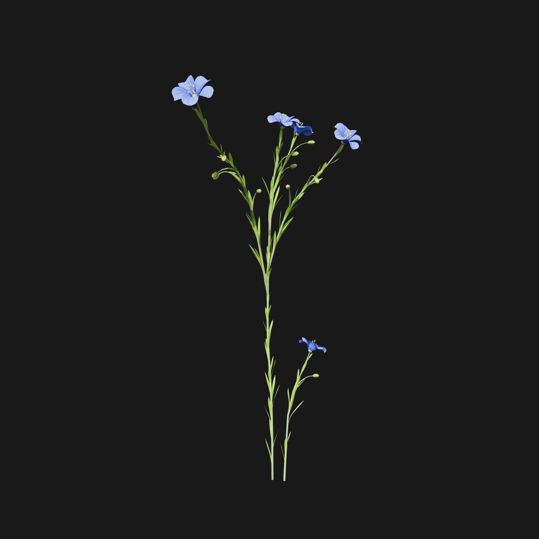 Real Grass 3D https://p.turbosquid.com/ts-thumb/OZ/wuh43I/FB/vplinumlewisiiv7/jpg/1695472757/1920x1080/fit_q87/9e9ff59a345122368a8c68af30789835b465651a/vplinumlewisiiv7.jpg