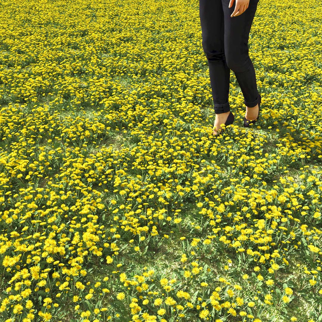 Real Grass 3D https://p.turbosquid.com/ts-thumb/OZ/wuh43I/G2/vpdandelionv6field/jpg/1695472720/1920x1080/fit_q87/de2835ff52f149447e9373d8139eeab65fece2c4/vpdandelionv6field.jpg