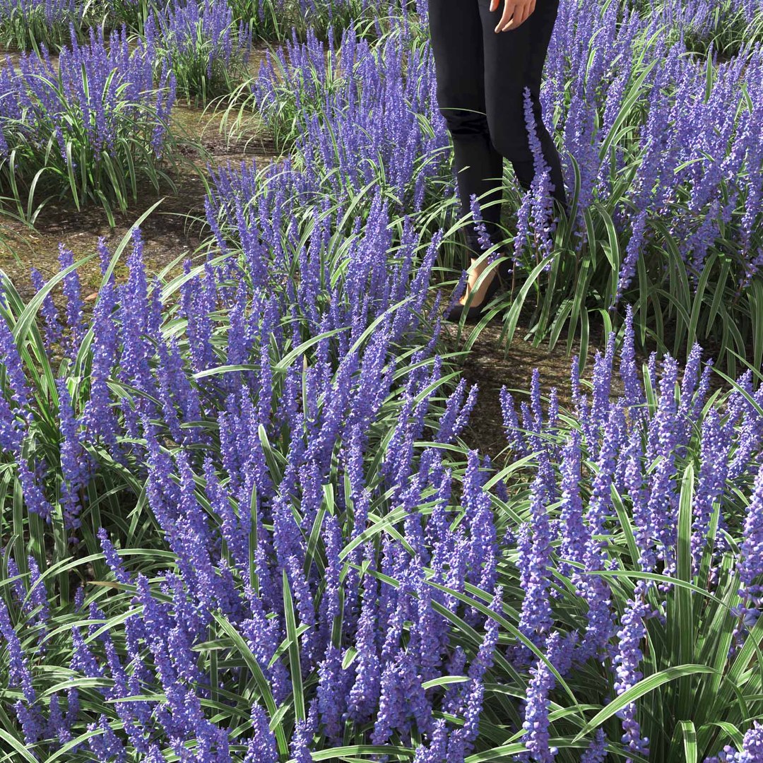 Real Grass 3D https://p.turbosquid.com/ts-thumb/OZ/wuh43I/Gg/vpliriopemuscariv4field/jpg/1695472761/1920x1080/fit_q87/a505cf8491ee938c41a06f0afbc4794065e97414/vpliriopemuscariv4field.jpg