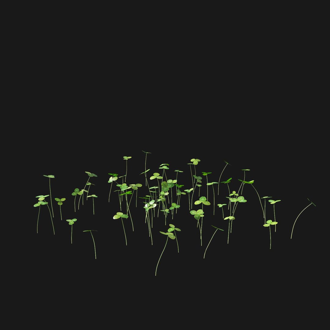 Real Grass 3D https://p.turbosquid.com/ts-thumb/OZ/wuh43I/H5/vptrifoliumv5/jpg/1695472792/1920x1080/fit_q87/99693746a48781d5057462e393630e9d774d2c59/vptrifoliumv5.jpg