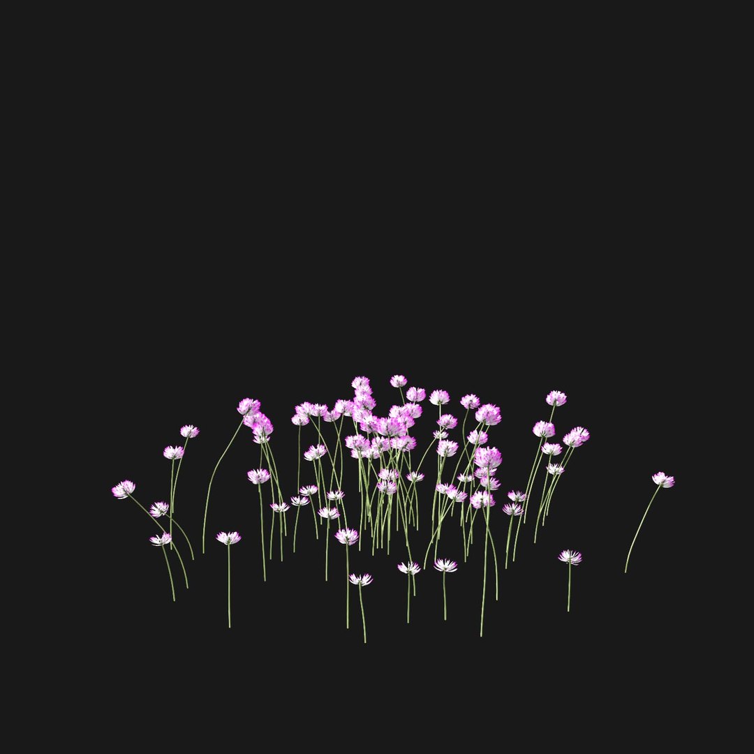 Real Grass 3D https://p.turbosquid.com/ts-thumb/OZ/wuh43I/MQ/vptrifoliumv7/jpg/1695472794/1920x1080/fit_q87/154c12633d9fbe7f1c18ba8e16224342a42b3d98/vptrifoliumv7.jpg