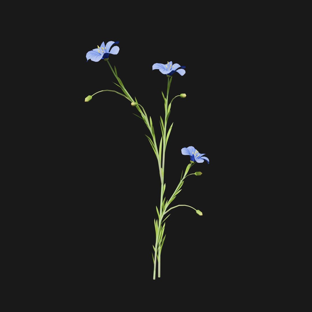 Real Grass 3D https://p.turbosquid.com/ts-thumb/OZ/wuh43I/Nf/vplinumlewisiiv6/jpg/1695472756/1920x1080/fit_q87/f9e90f62f6ff23a32a6f3d2db064f76bc9f01d01/vplinumlewisiiv6.jpg
