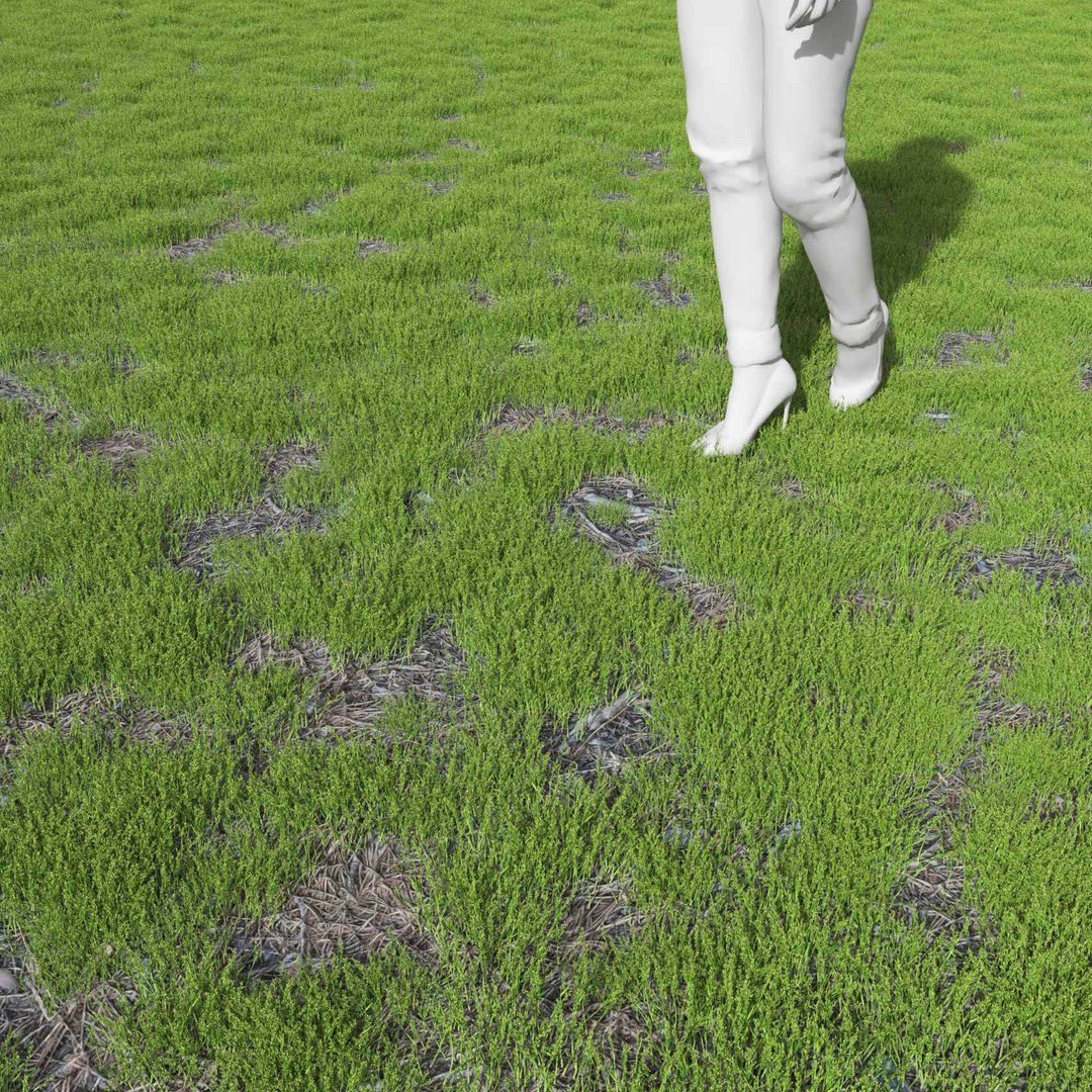 Real Grass 3D https://p.turbosquid.com/ts-thumb/OZ/wuh43I/O1/vppoapratensisv22field/jpg/1695472786/1920x1080/fit_q87/cc03c4373624f63c5cfd3293e4288312ba20cbee/vppoapratensisv22field.jpg