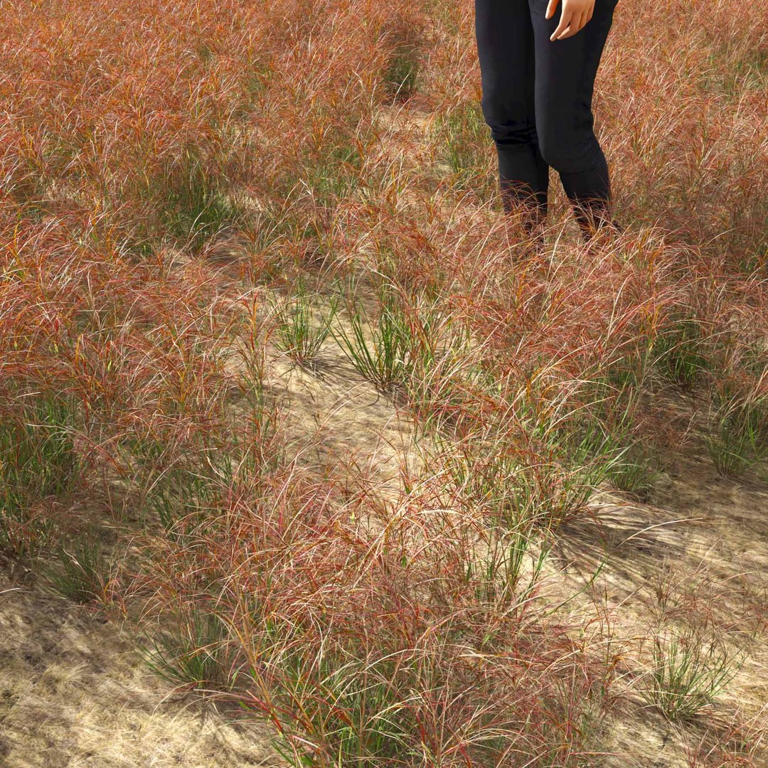 Real Grass 3D https://p.turbosquid.com/ts-thumb/OZ/wuh43I/OX/vparistidapurpureav4field/jpg/1695472689/1920x1080/fit_q87/942cd66600121b7fc5bcb986c1db58859185c114/vparistidapurpureav4field.jpg