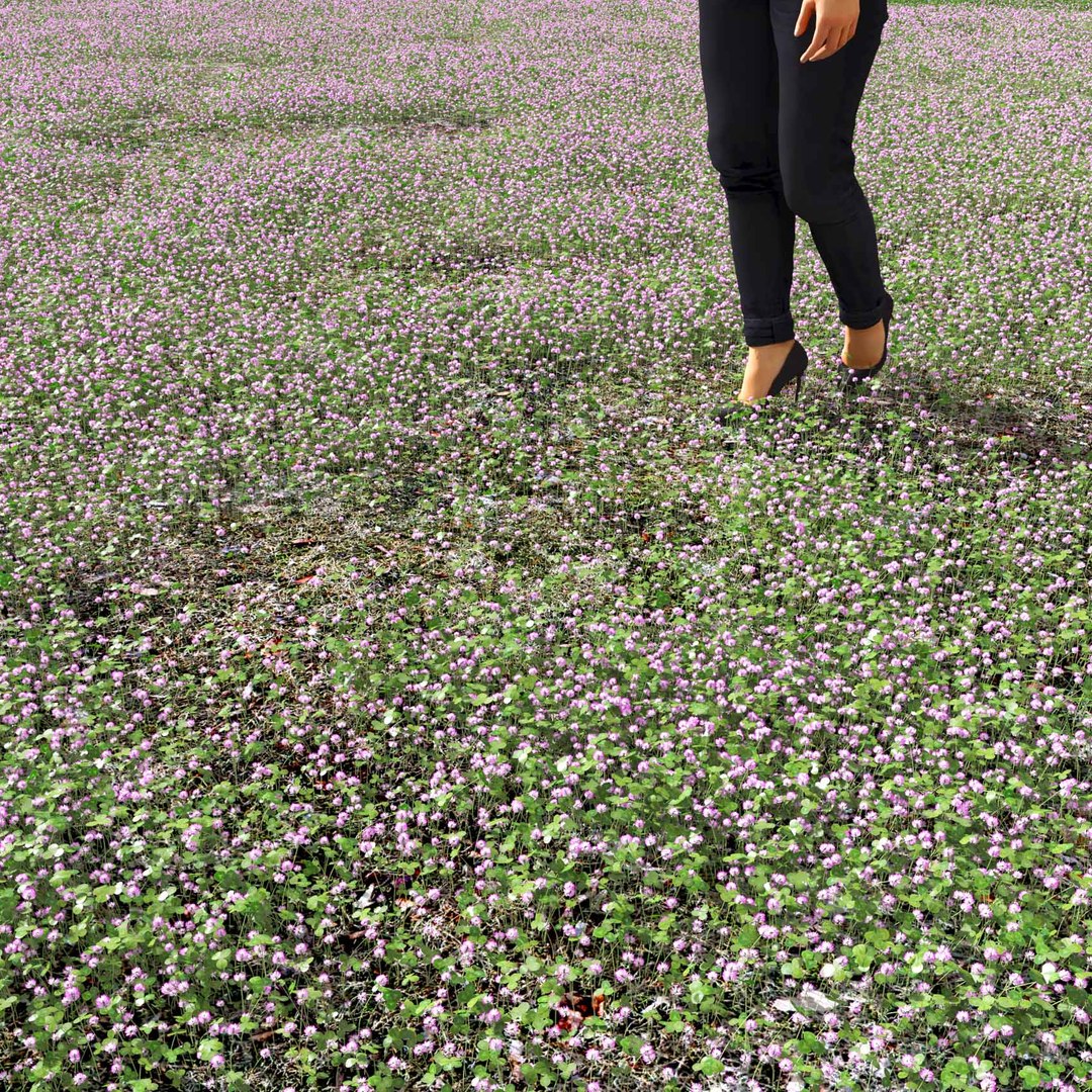 Real Grass 3D https://p.turbosquid.com/ts-thumb/OZ/wuh43I/P9/vptrifoliumv9field/jpg/1695472797/1920x1080/fit_q87/64a08dd7bd9e214a6bfe6e2088122177a1bd7c01/vptrifoliumv9field.jpg